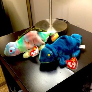 Mislabel ty beanie baby “iggy” and “rainbow”
